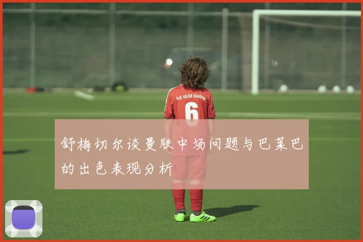 舒梅切尔谈曼联中场问题与巴莱巴的出色表现分析